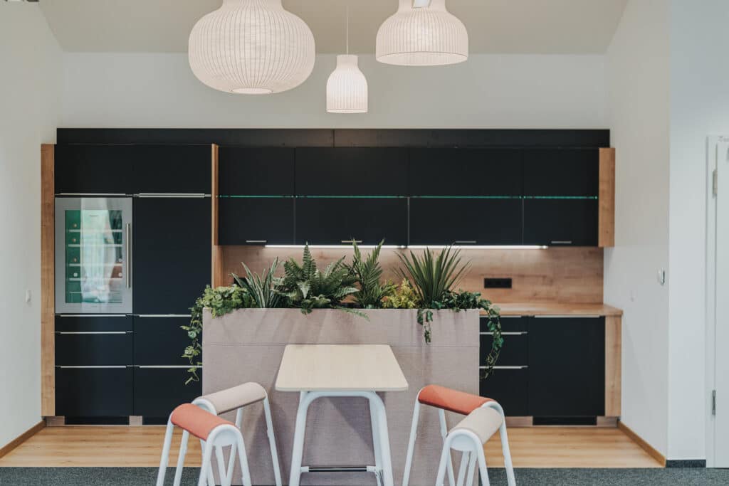 Moderne Küche mit Pflanzen und minimalistischen Möbeln